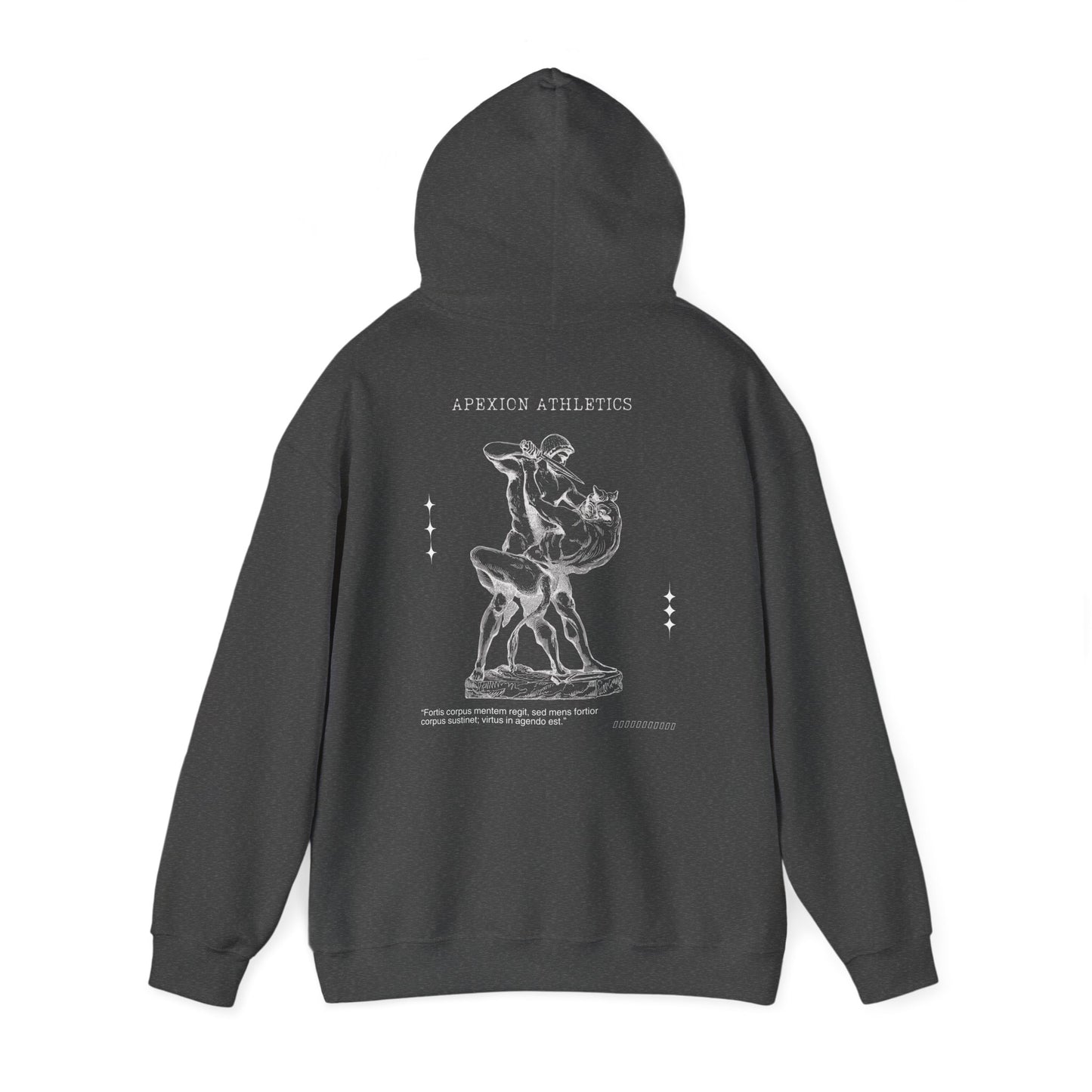 Labyrinth Hoodie